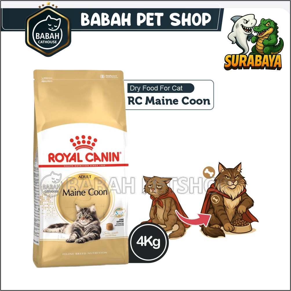 4kg ROYAL CANIN ADULT MAINECOON cat food makanan kucing rc main coon untuk dewasa ras besar bulu pan