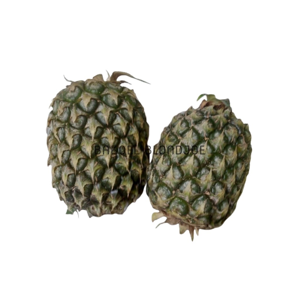 NANAS MUDA KUPAS UTUH/ PINEAPLLE / FRUIT FRESH / BUAH BUAHAN SEGAR ONLINE PASAR SURABAYA