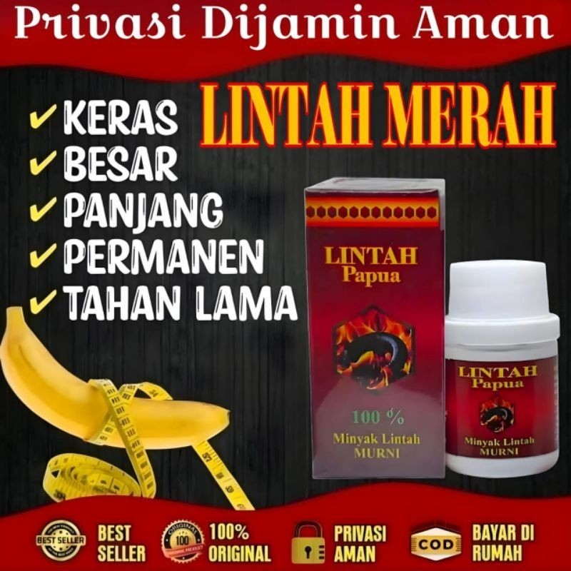 MadinaHerbalAlami - Lintah Merah Original 100% herbal Alami Obat Kuat Pria Tahan Lama Pemanjang Alat