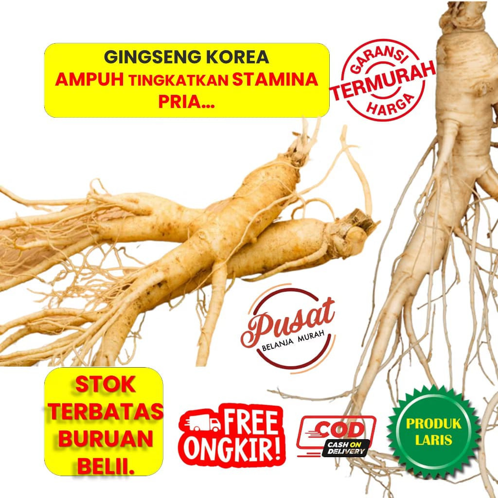 

Ginseng korea Asli Fresh Jaminan Segar/Ginseng Segar
