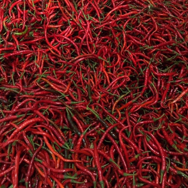 

Paket Cabe/Cabai Merah Keriting Fress Berat 1kg Termurah