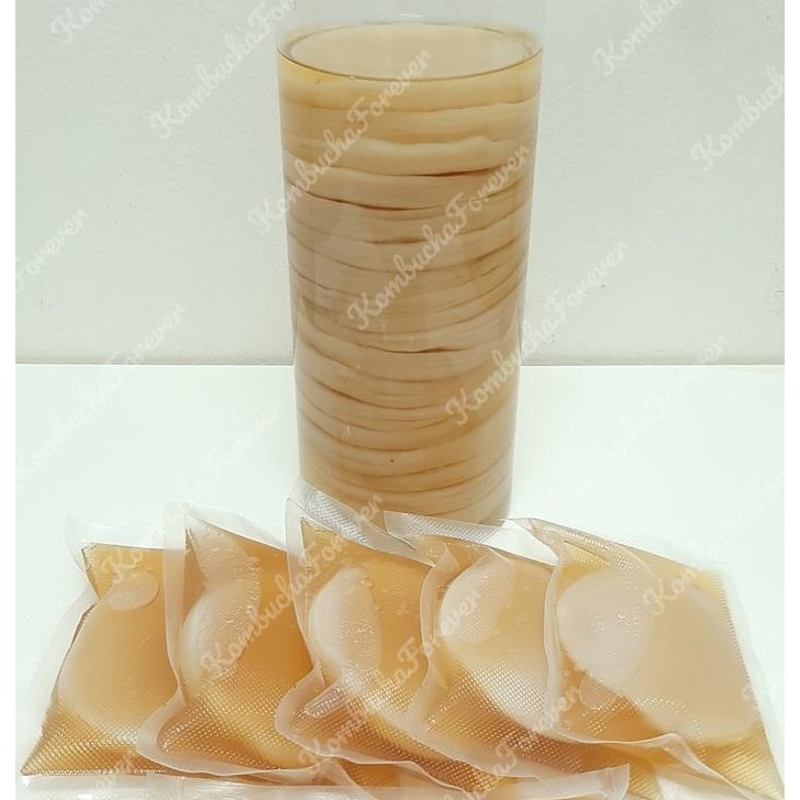 

Bibit Scoby Jamur Kombucha Premium Organik