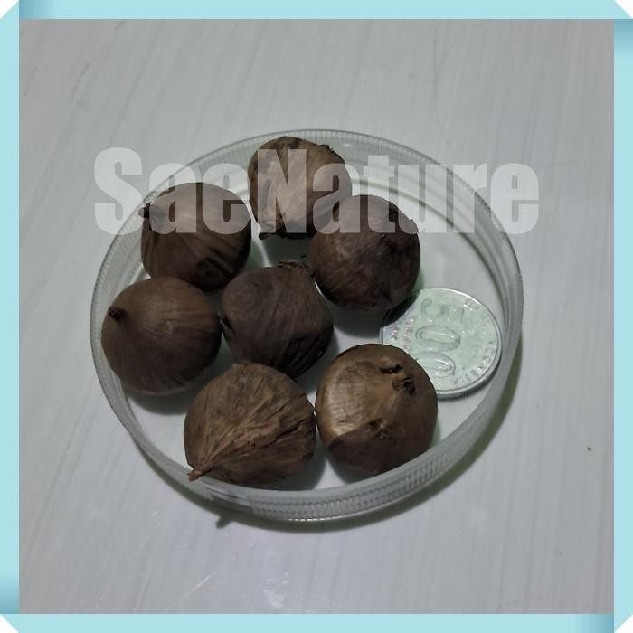 

Promo BLACK GARLIC Bawang Putih Hitam Tunggal Premium 125 Gram - Medium