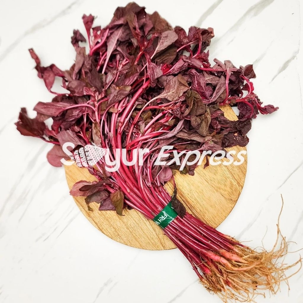 

KIRIM INSTAN Bayam Merah 250gr