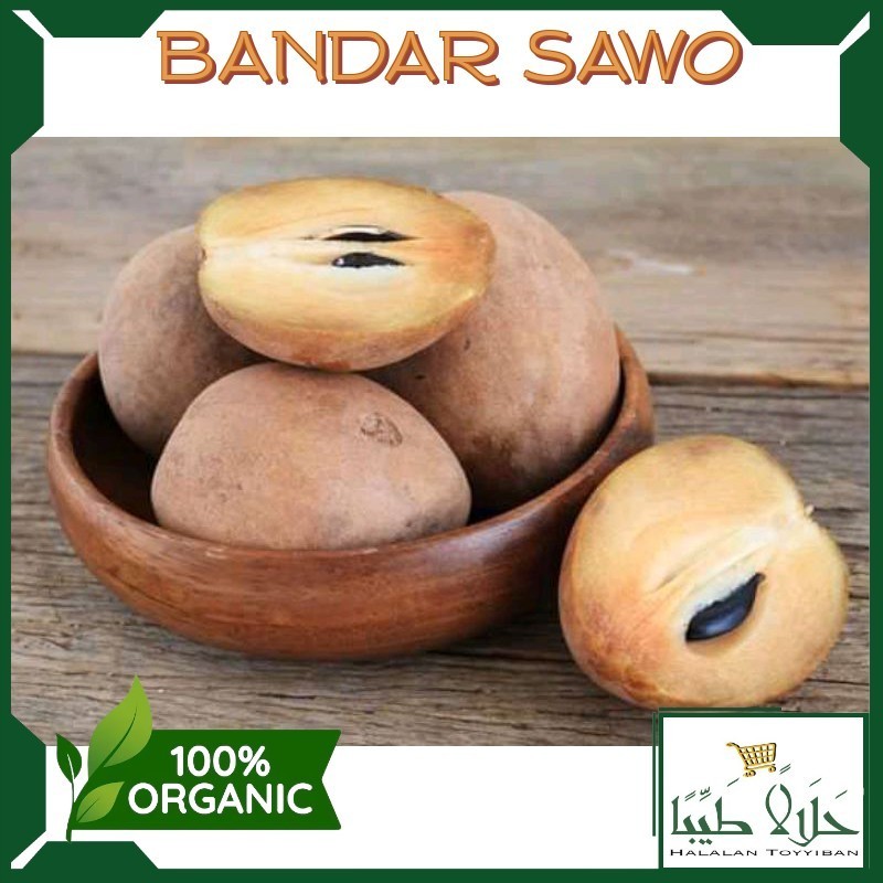 

BANDAR Buah Sawo Manila Tua Siap Matang Persatu Buah 1000