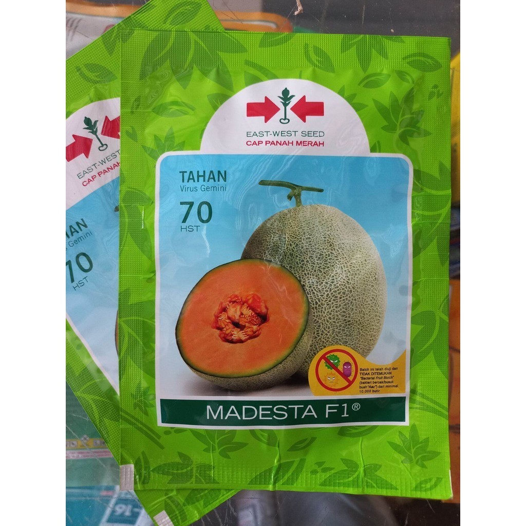 Madesta F1 40 Butir Benih Melon