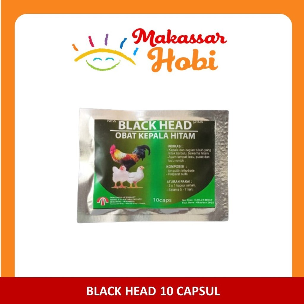 BLACK HEAD Plus 10 Cap Obat Antibiotik Kepala Hitam Ayam Aduan Bangkok