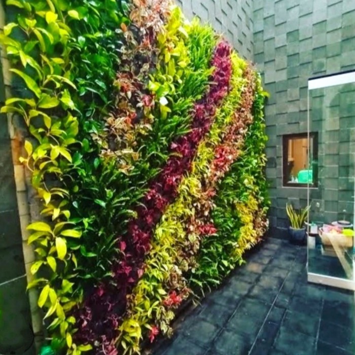 paketan 7 jenis tanaman vertical garden - tanaman vertical garden
