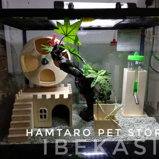 Terarium kandang hamster model Jungle Fullset kandang hamster aquarium lucu