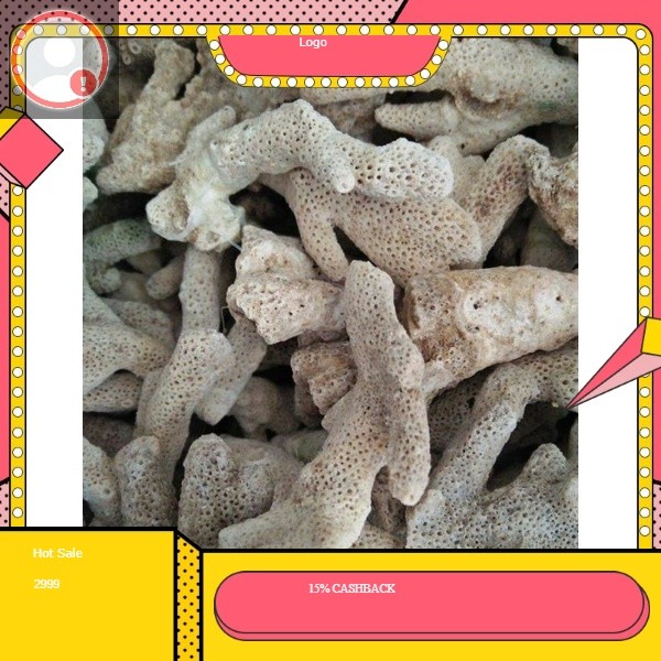 

Kerang jahe Kerang laut per 1 kg