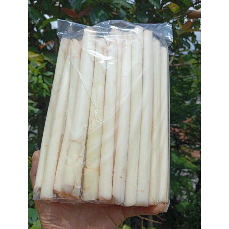 

[ COD ] BATANG HONJE/KECOMBRANG FRESH 1KG