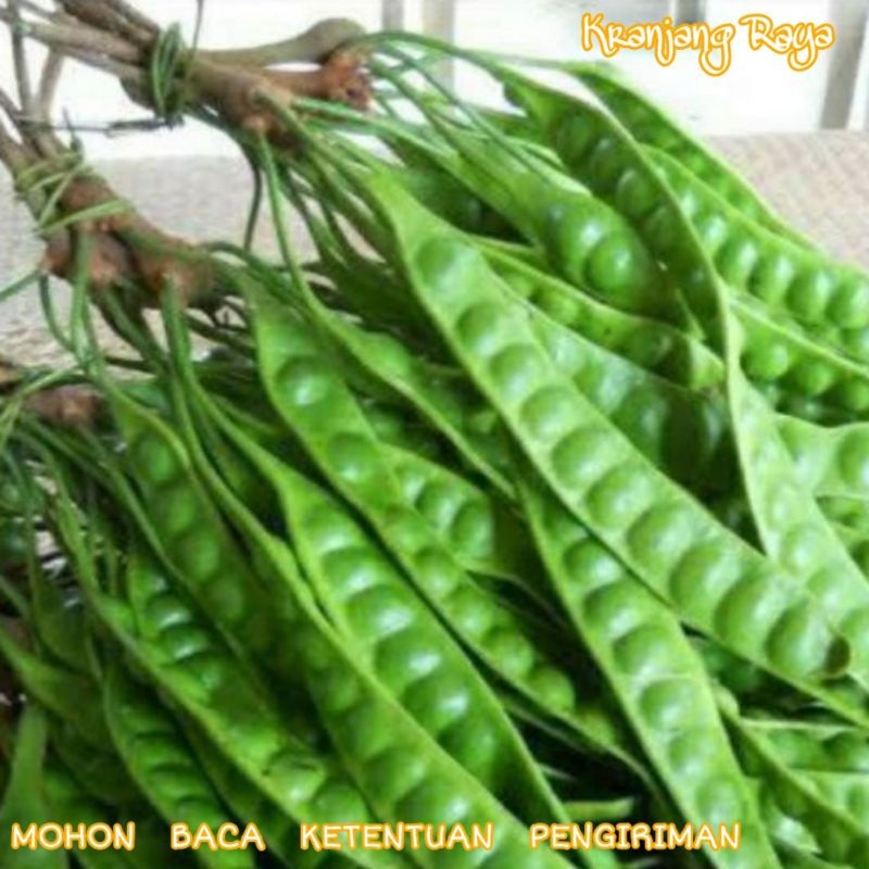 

Pete per papan pete tua murah petai tua super pete petai kupas 1kg