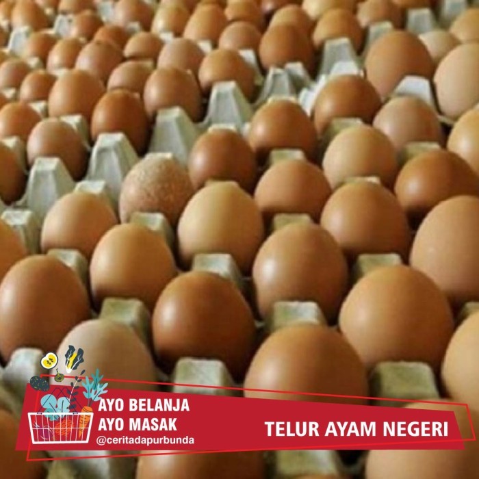 

TELUR AYAM NEGERI per 500 gram