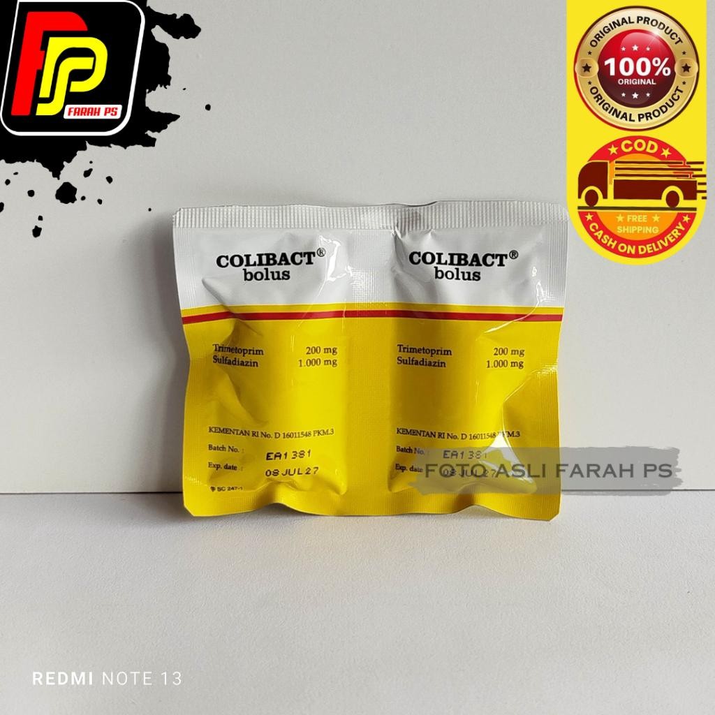Colibact Bolus pcs Sanbe Obat diare hewan