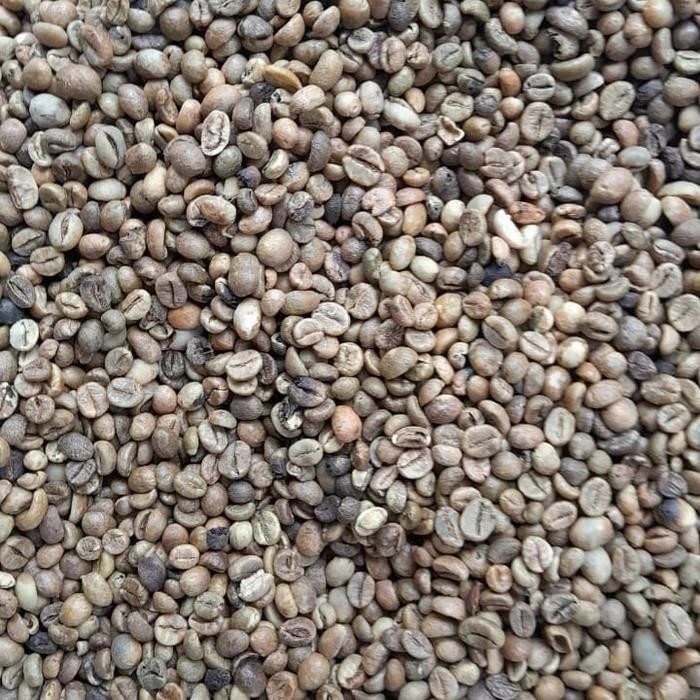 

Kopi Robusta Lampung Green Bean