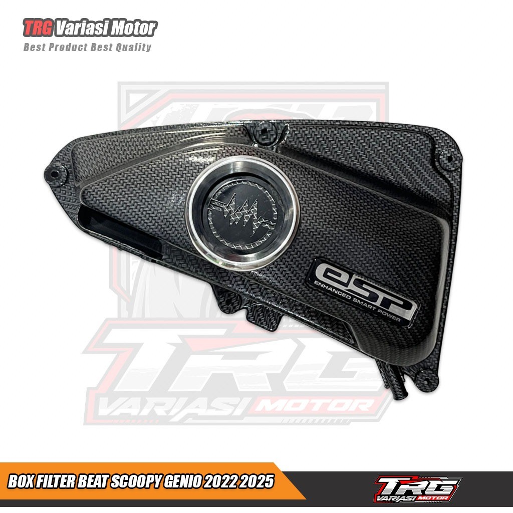 Box Filter Beat Deluxe Tutup Box Filter Beat Deluxe Carbon PNP Beat Sooopy Genio 2021 2025 Detak Bul