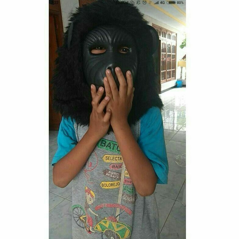 * topeng monyet topeng gedrok murah topeng macan harimau singa *