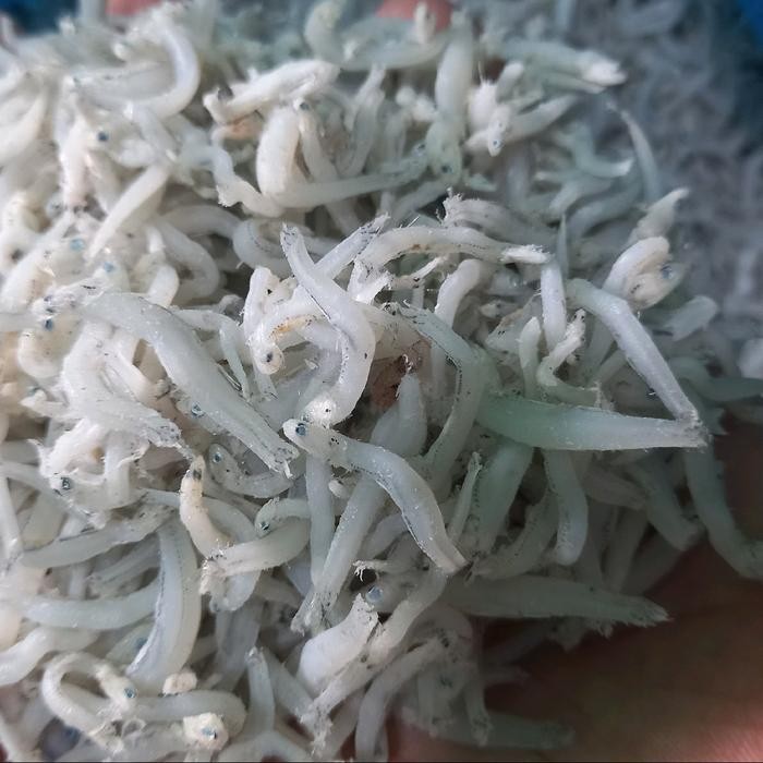 

TERI NASI MEDAN SUPER KERING ENAK BERSIH - berat 1 Kg