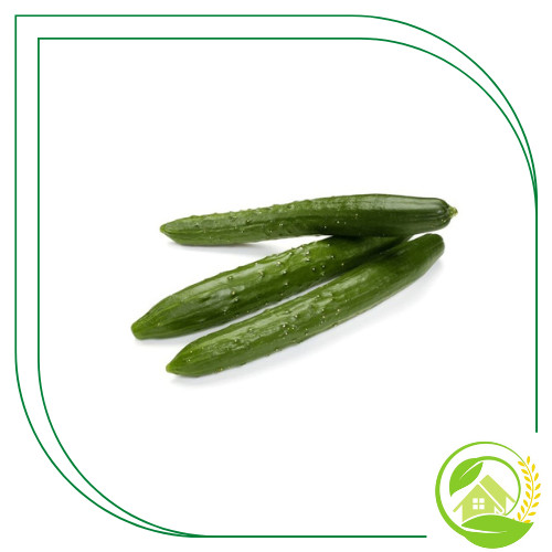 

Timun Jepang Segar - 500g