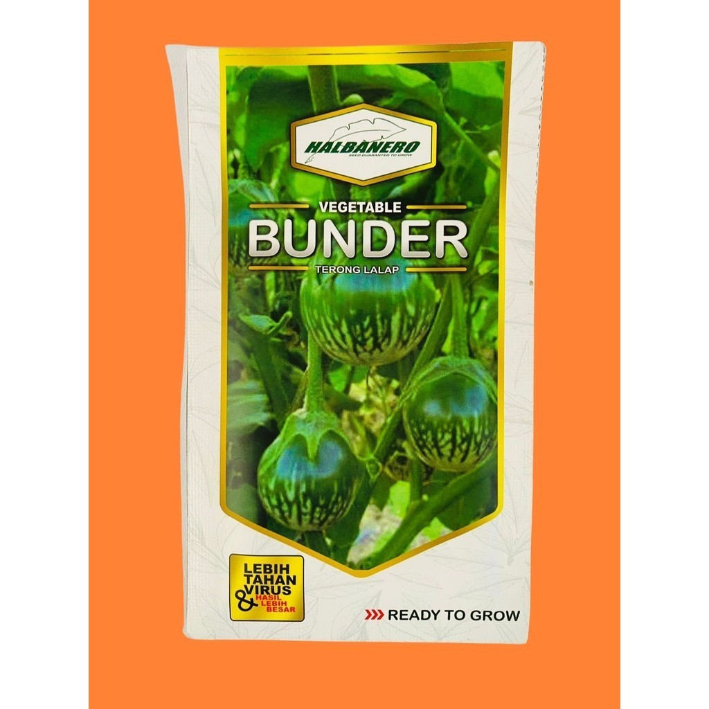 Benih terong lalap BUNDER isi 10gr dari HALBANERO