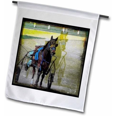 

3dRose Double Standardbred Digital Art by Angelandspot Garden Flag, 12 by 18