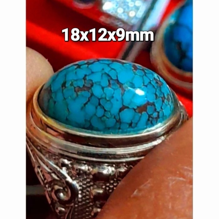 Pirus Persia premium blue tosca beras wutah HQ