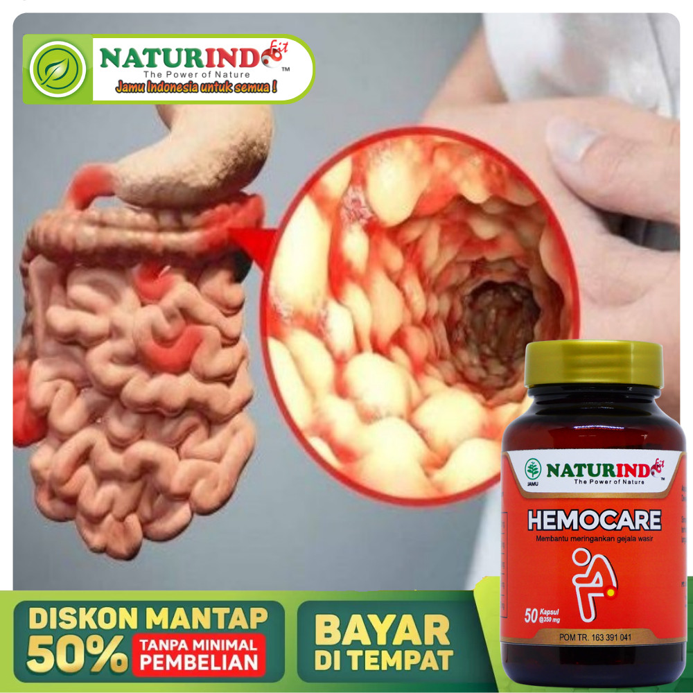 Obat Infeksi Usus Paling Ampuh, Radang Usus, Obat Usus Bengkak, Infeksi Usus Besar, Penyakit Usus Bu