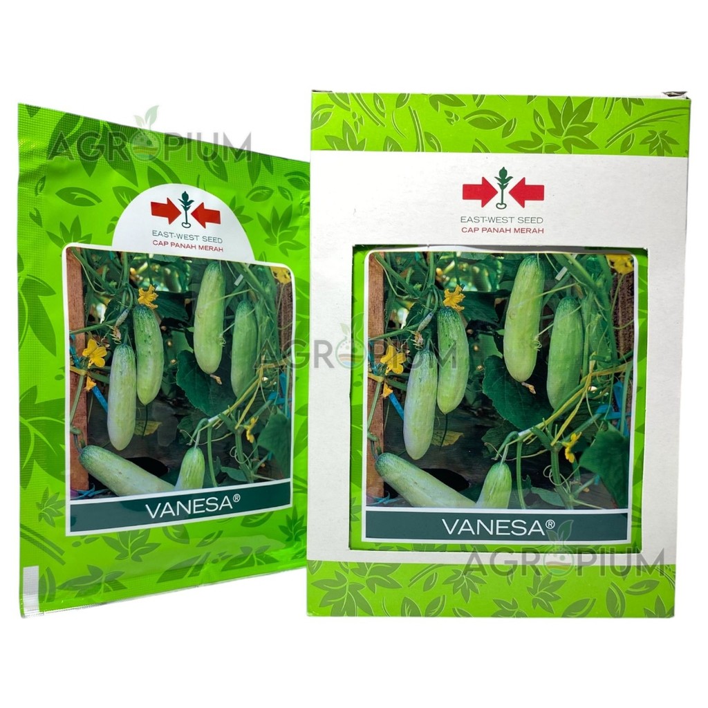 Benih Timun Mentimun VANESA Isi 20 gram Cap Panah Merah