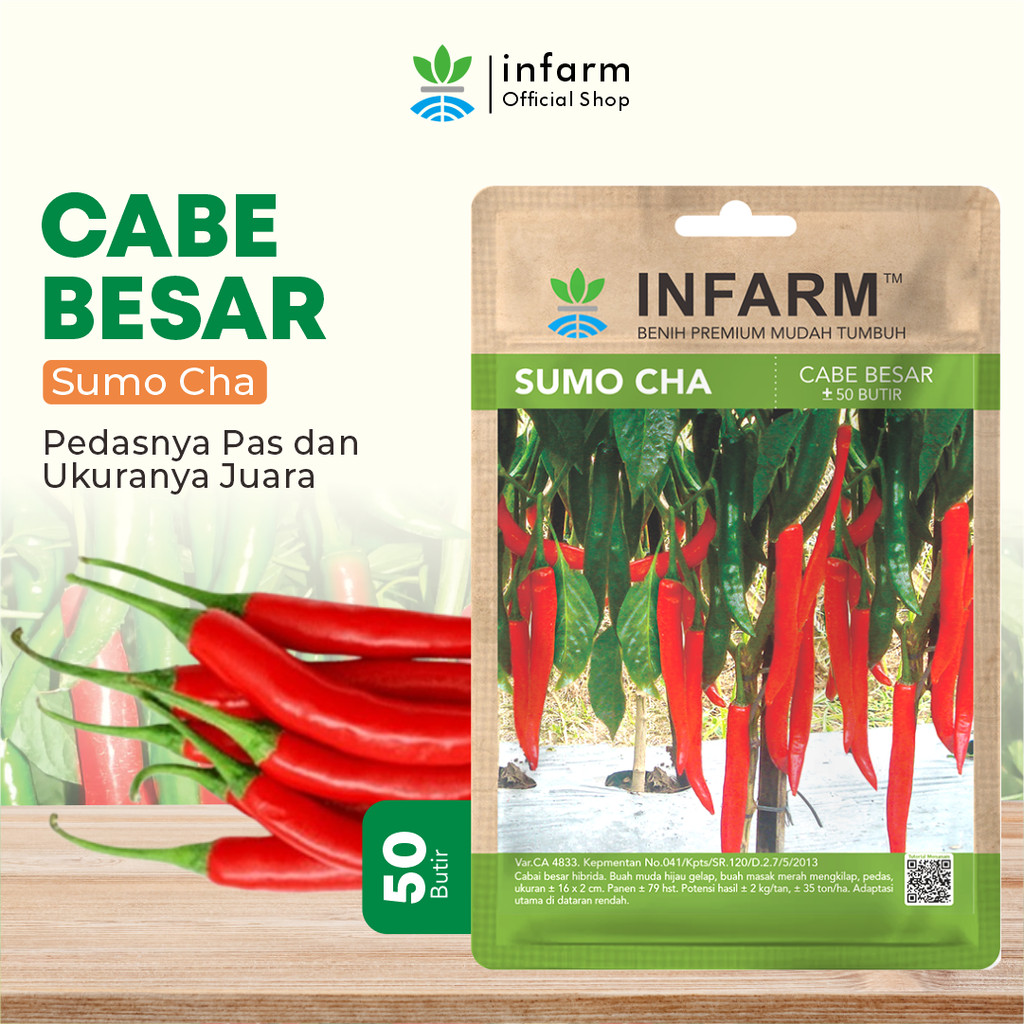 BENIH JAYA - Benih Super Cabai Merah Besar F1 Bibit Unggul Cabe Merah Besar Premium Mudah Tumbuh