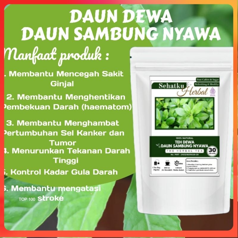 

Teh Dewa/Teh Daun Sambung Nyawa : Teh Darah tinggi Jantung dan kolesterol isi 30 tea bag
