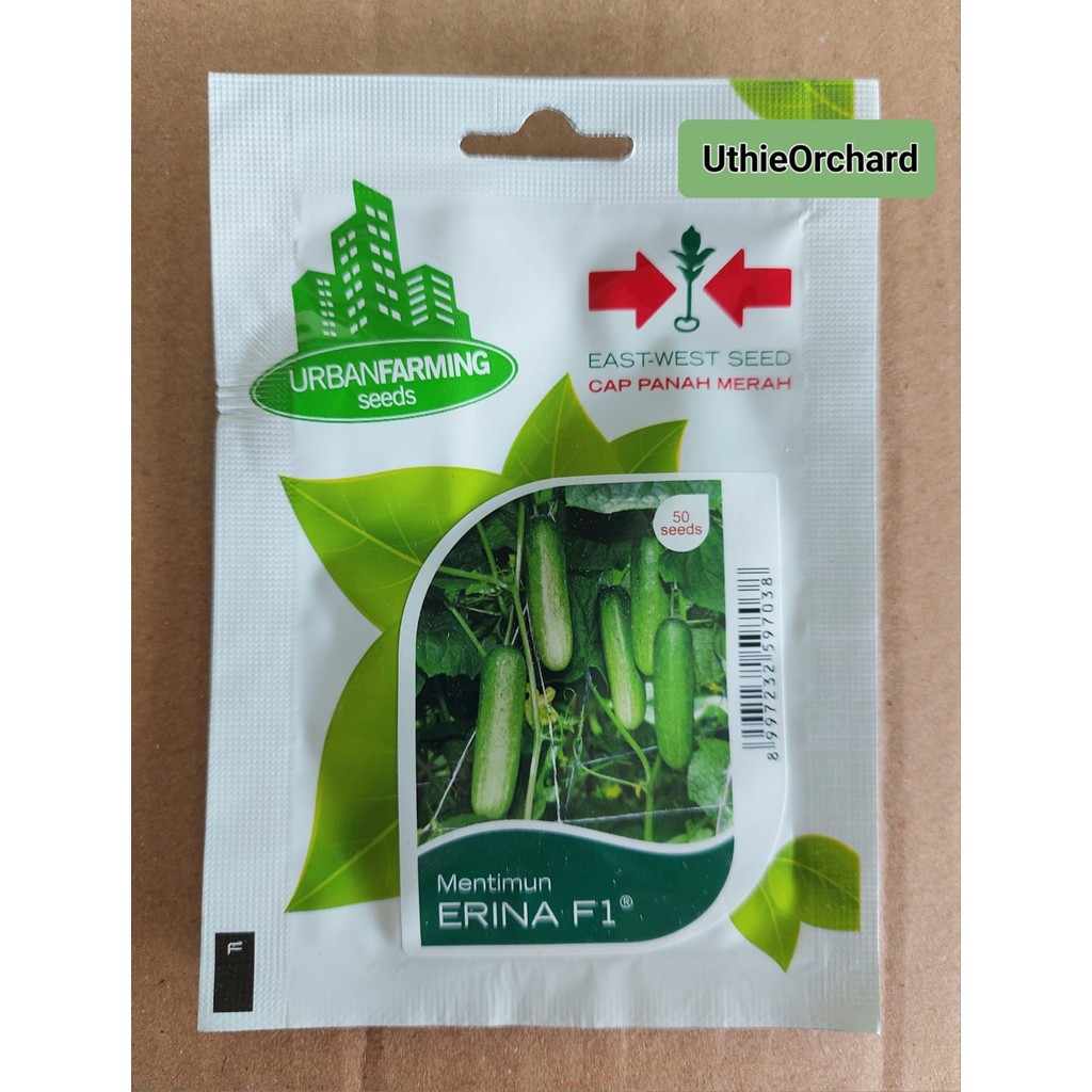 Benih Panah Merah – Timun Erina F1