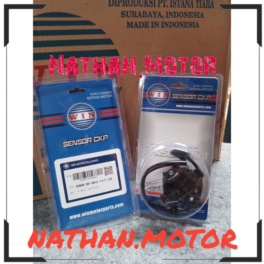 Sensor CKP Vario 110 FI ESP / Vario Agnes (WIN)