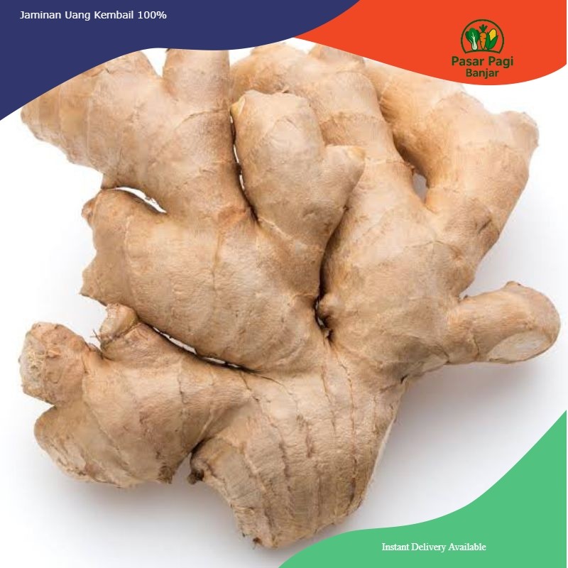

Jahe Putih / Jahe Gajah / Berat 500 gram
