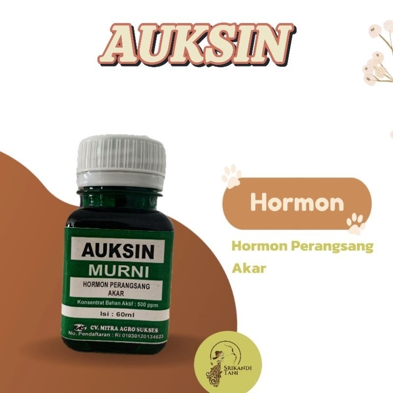 Auksin Hormon Perangsang akar 60ml Auxin murni
