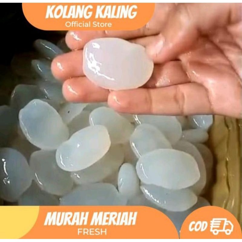 

Kolang Kaling Segar Kulaitas Super 1Kg