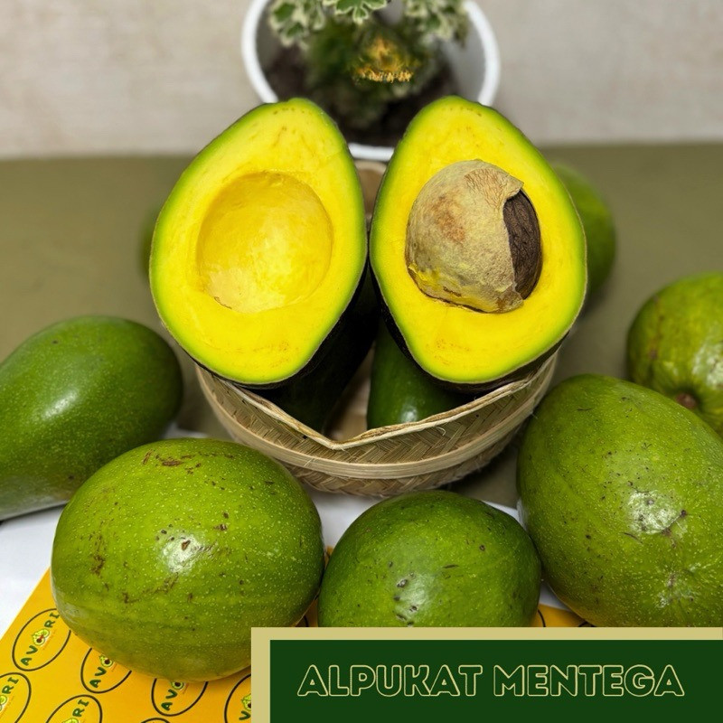 

Alpukat Mentega Muria Super/mulus/premium/supermarket 1kg isi 2-4