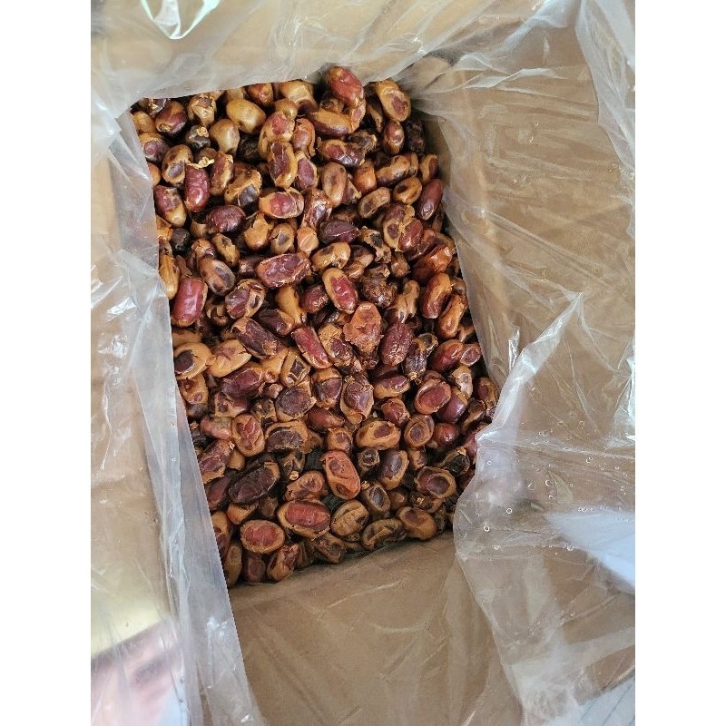 

kurma khalas 10kg premium quality panen terbaru
