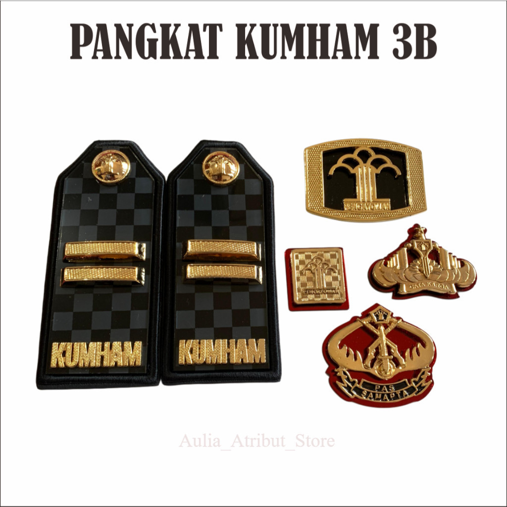 AULIA PANGKAT PDU KUMHAM 3B TERBARU- KEMENKUMHAM ATRIBUT KUMHAM/ATRIBUT KEMENKUMHAM PIN PENGAYOMAN P