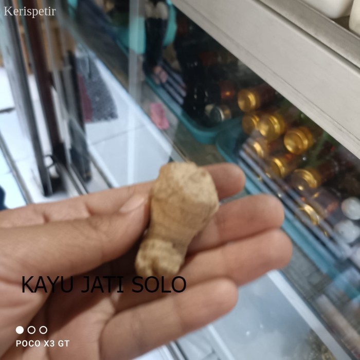 

ajimat sesajen jahe Antikan KJS72 antik terlaris