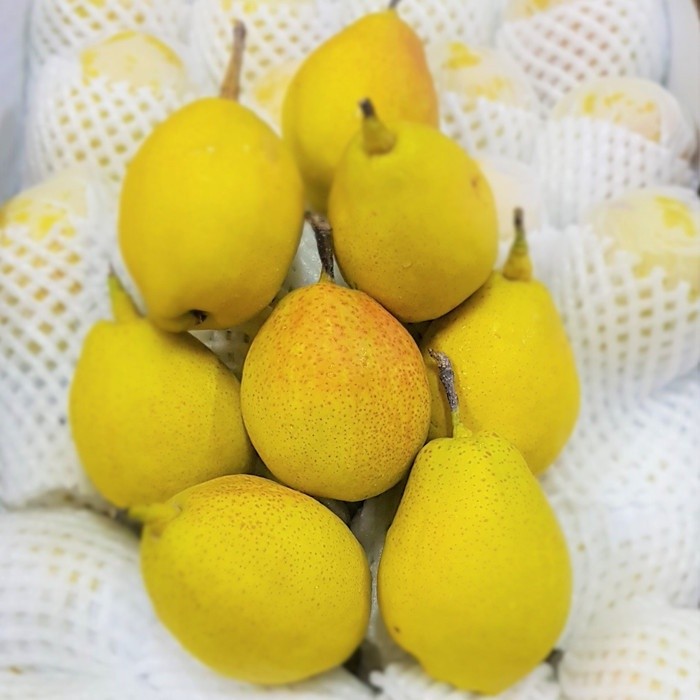 

Pear Xianglie Import