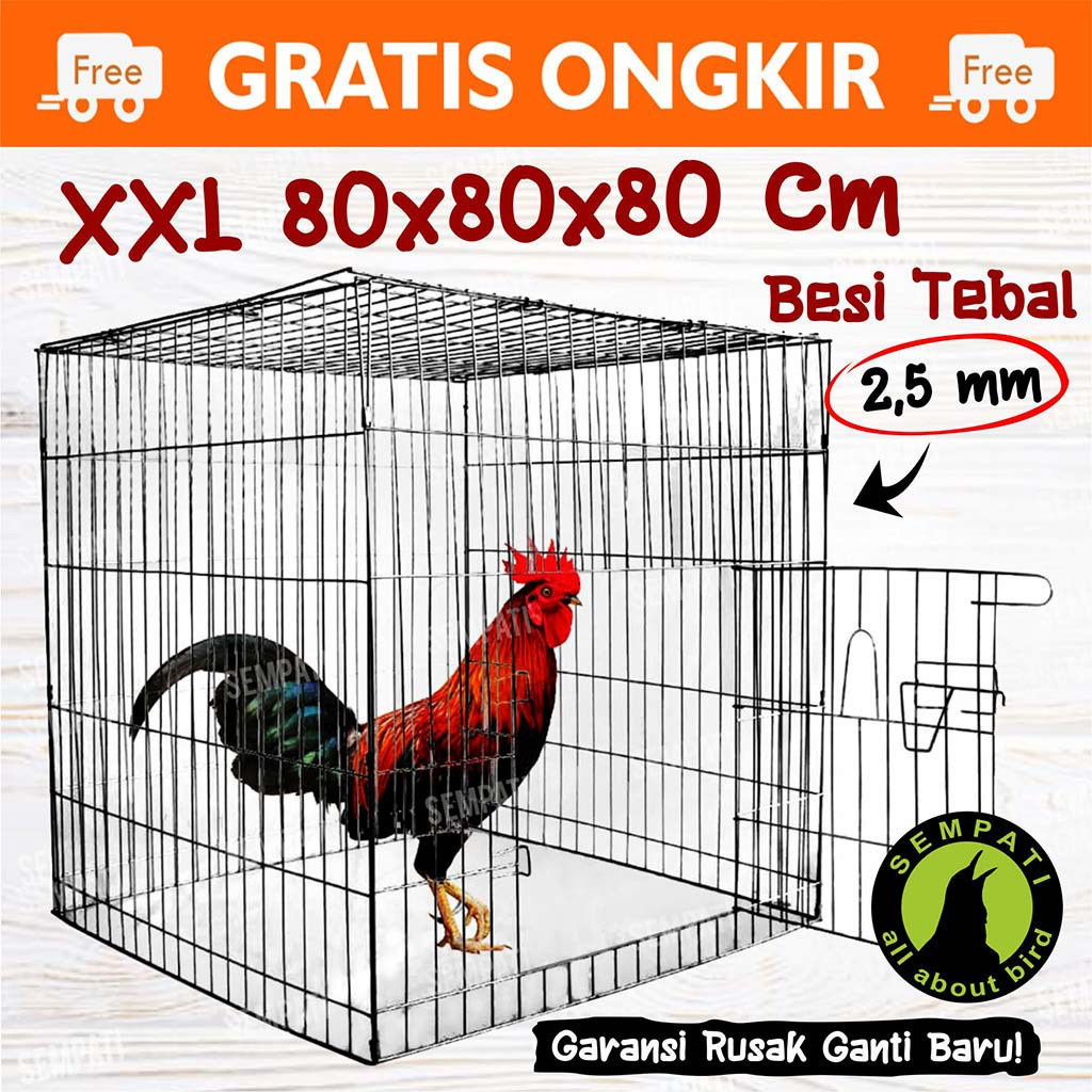 GT65R Sangkar Kandang Besi Kotak Kurungan Ayam Jago Laga Aduan Petarung Kurungan Ayam Galvanis Kotak