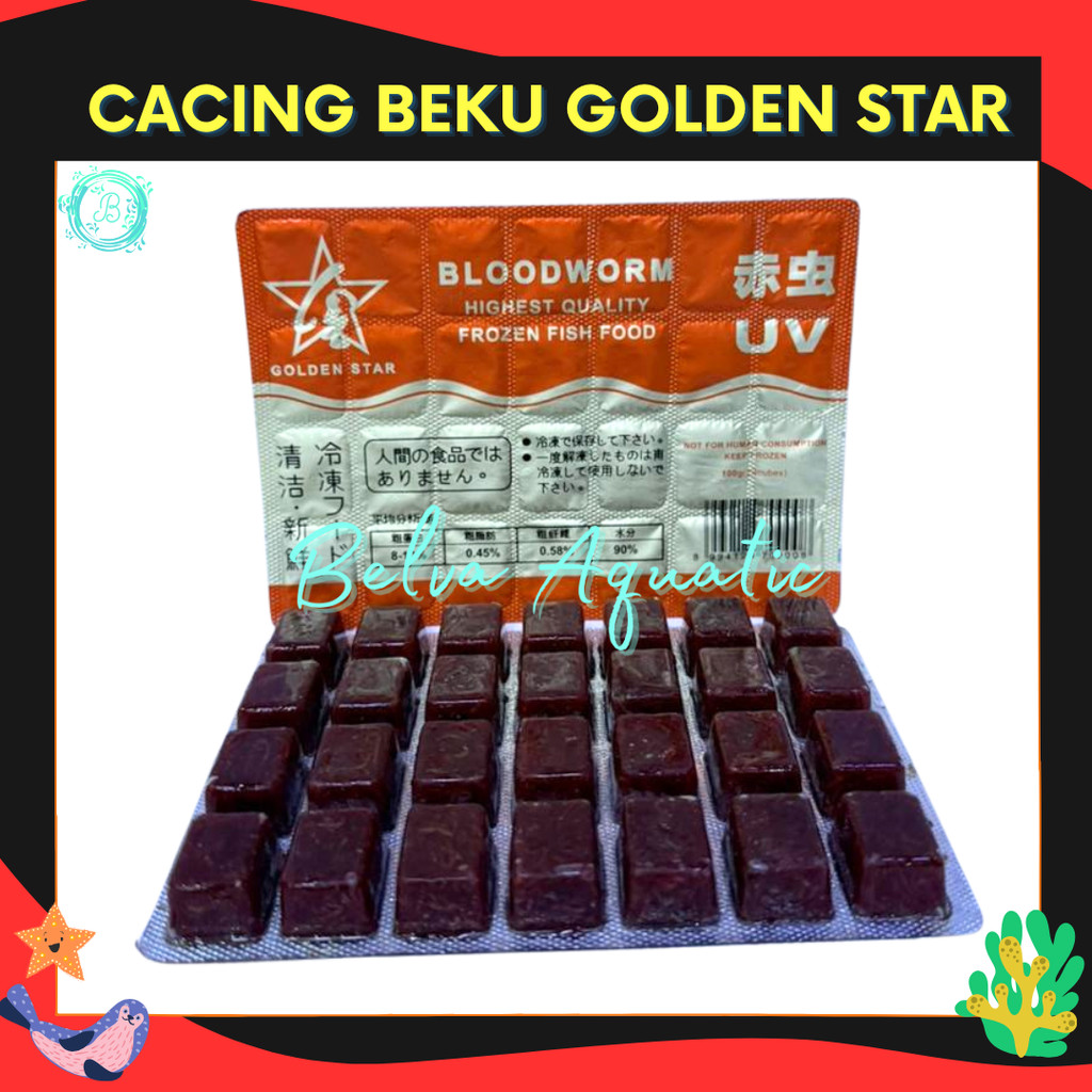 Cacing Beku Golden Star Pakan Ikan Frozen Cacing Beku