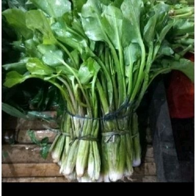 

New genjer sayur 1 ikat gendot sayur