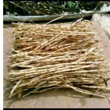 

Akar alang alang sgar 300 gr' akar ilalang