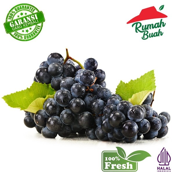 

ANGGUR BLACK AUTUMN 1KG MANIS [RUMAH BUAH] BEST SELLER