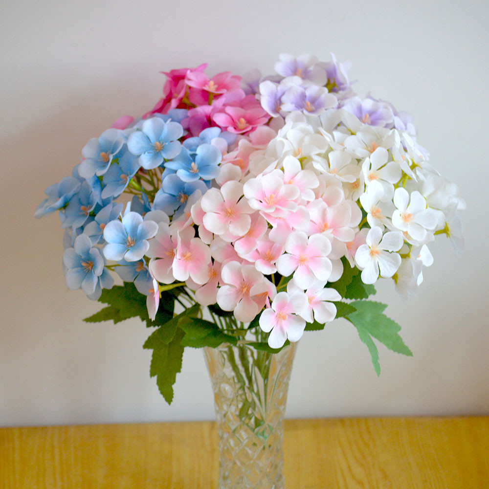 Bunga Hortensia Pancawarna