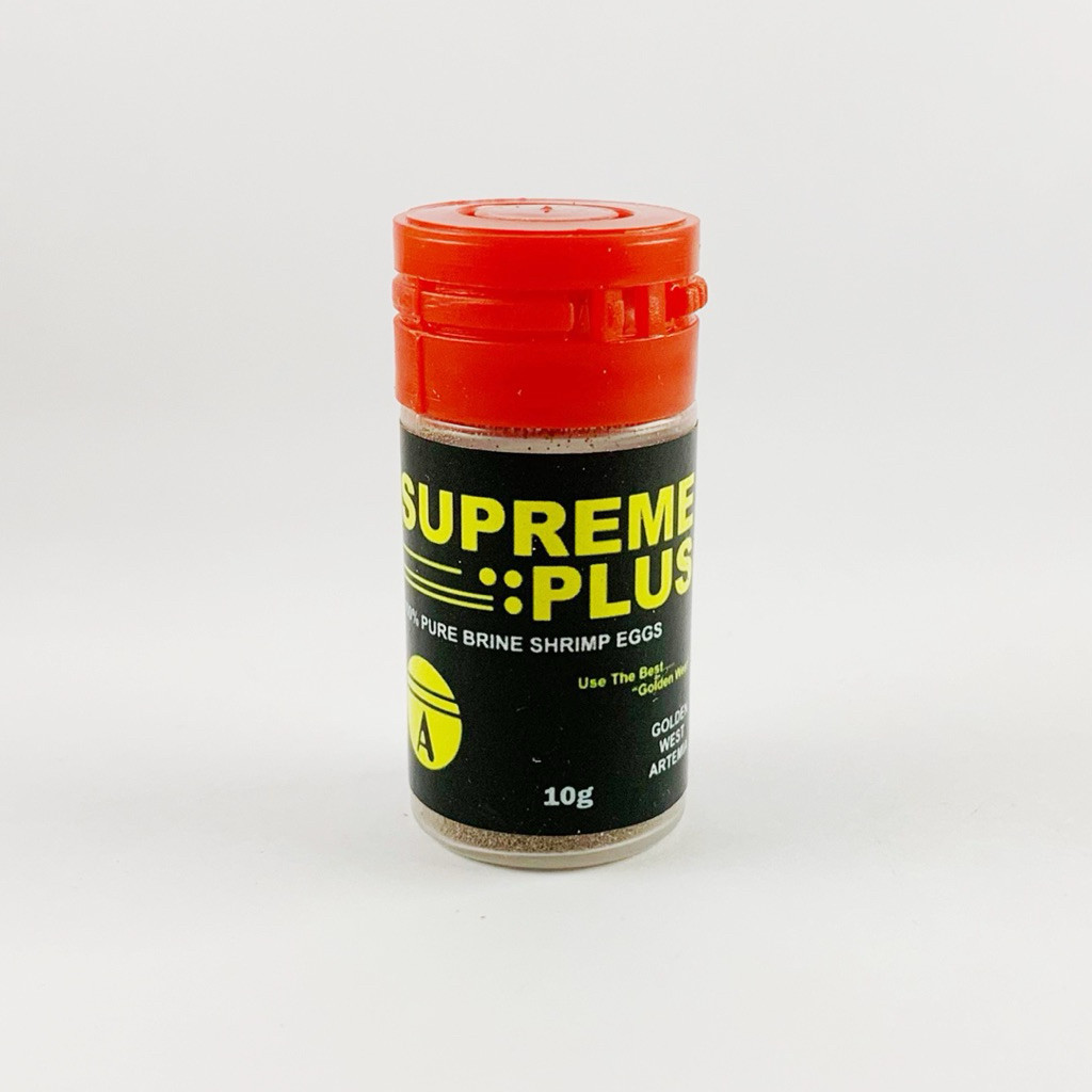 Artemia Supreme Golden Plus Pakan Terbaik Burayak Cupang Dan Guppy