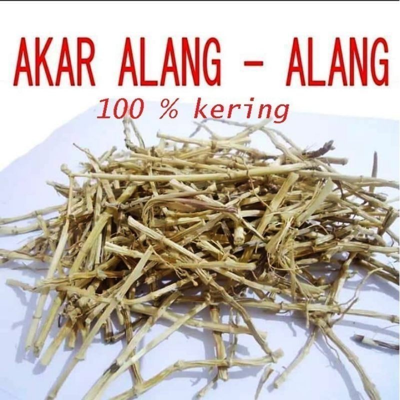 

Promo akar ALANG ALANG Kering 100gr Alang Ilalang Herbal Azzahra_23