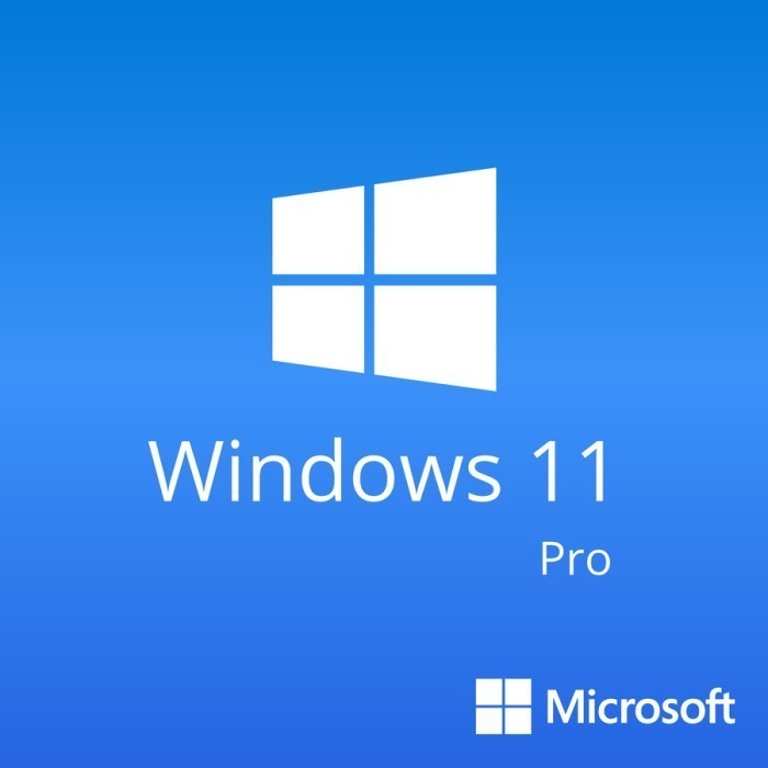 Windows 11 Pro/10 Pro COA Lisensi
