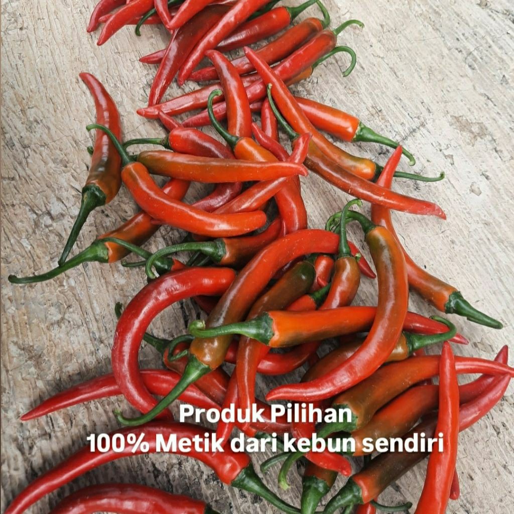 

Paket Cabe Merah Besar 1000 GR